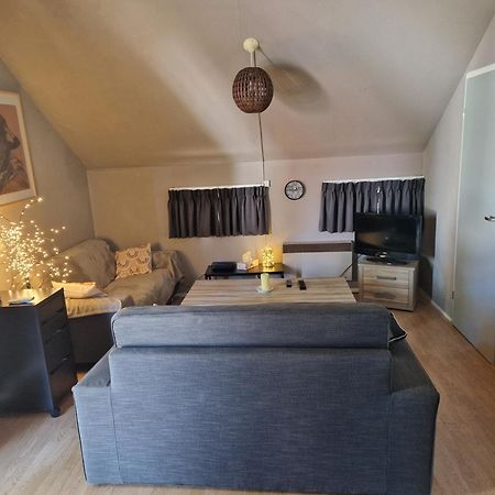 Daumazan-sur-Arize Mon Chalet En Ariege Avec Piscine מראה חיצוני תמונה