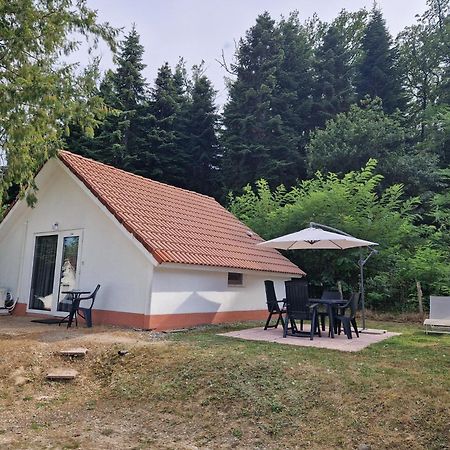 Daumazan-sur-Arize Mon Chalet En Ariege Avec Piscine מראה חיצוני תמונה