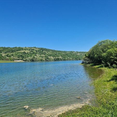 Daumazan-sur-Arize Mon Chalet En Ariege Avec Piscine מראה חיצוני תמונה