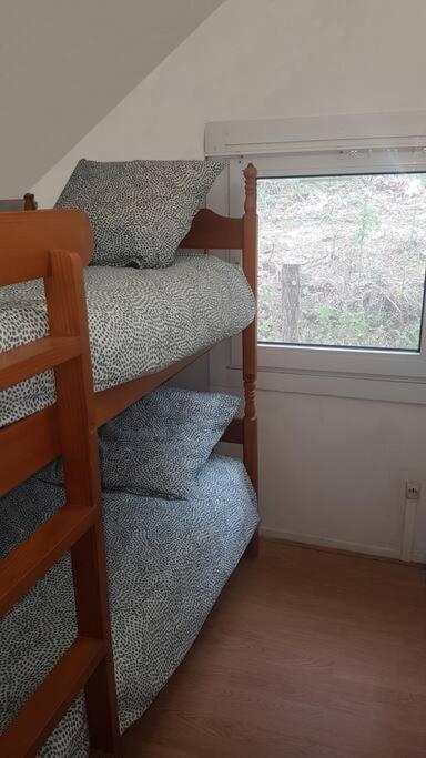 Daumazan-sur-Arize Mon Chalet En Ariege Avec Piscine מראה חיצוני תמונה