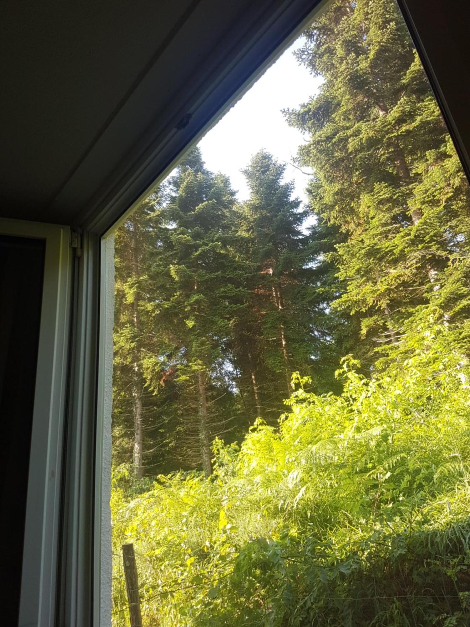 Daumazan-sur-Arize Mon Chalet En Ariege Avec Piscine מראה חיצוני תמונה