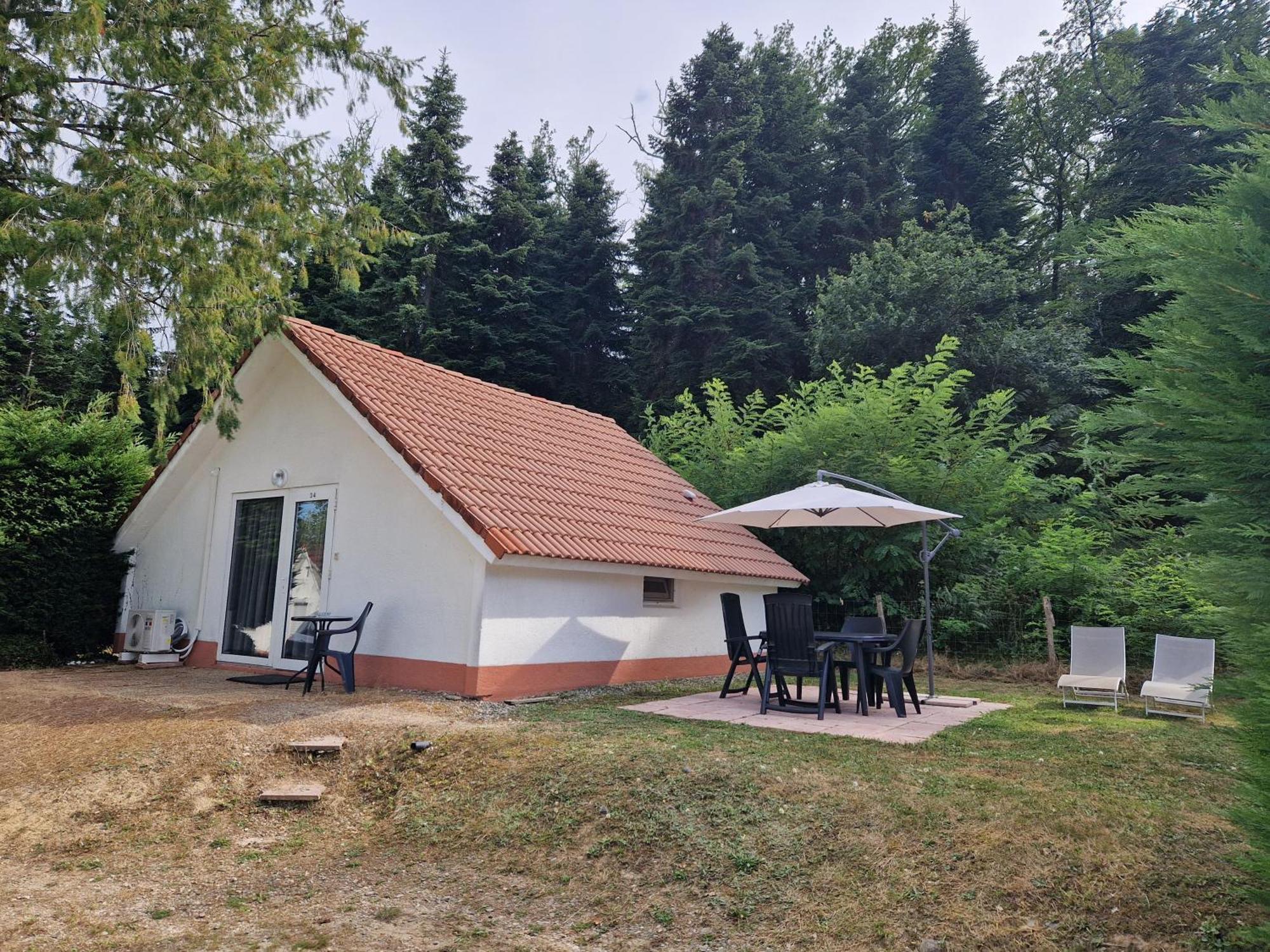 Daumazan-sur-Arize Mon Chalet En Ariege Avec Piscine מראה חיצוני תמונה