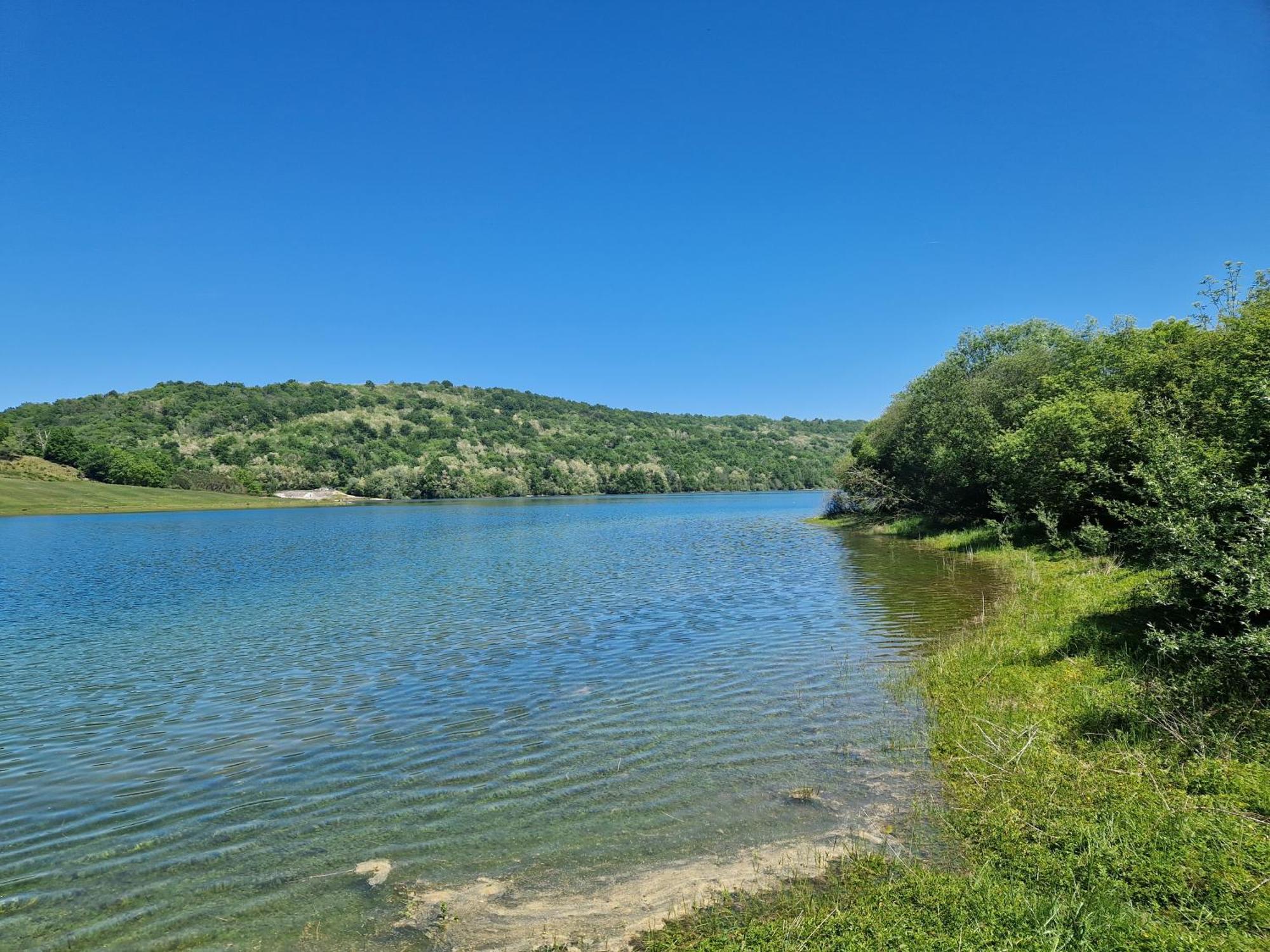 Daumazan-sur-Arize Mon Chalet En Ariege Avec Piscine מראה חיצוני תמונה